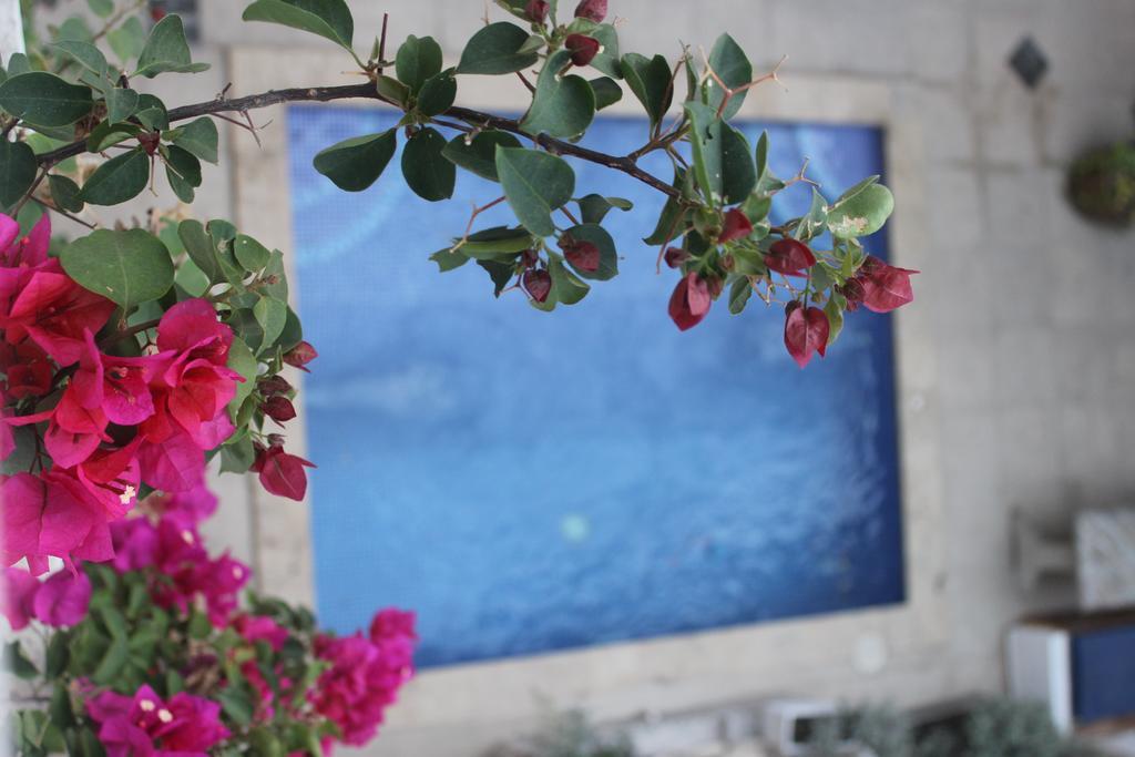 Hotel Casa Real Cartagena Ngoại thất bức ảnh
